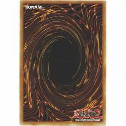 LIOV-EN094 Staysailor Romarin | 1st Edition Super Rare | YuGiOh Trading Card TCG