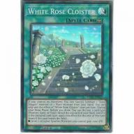 KICO-EN019 White Rose Cloister | 1st Edition Super Rare YuGiOh Trading Card TCG