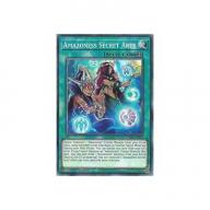 Amazoness Secret Arts DABL-EN099 : YuGiOh Common Card 1st Edition