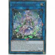 LIOV-EN046 Traptrix Cularia | 1st Edition Ultra Rare | YuGiOh Trading Card Link