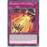 Branded Expulsion POTE-EN070 1st Edition Common :YuGiOh Trading Card Trap TCG