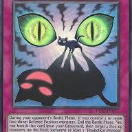 YU-GI-OH CARD: BLACK CAT - ASTROPHE - SUPER RARE - DRL2-EN037 - 1st EDITION